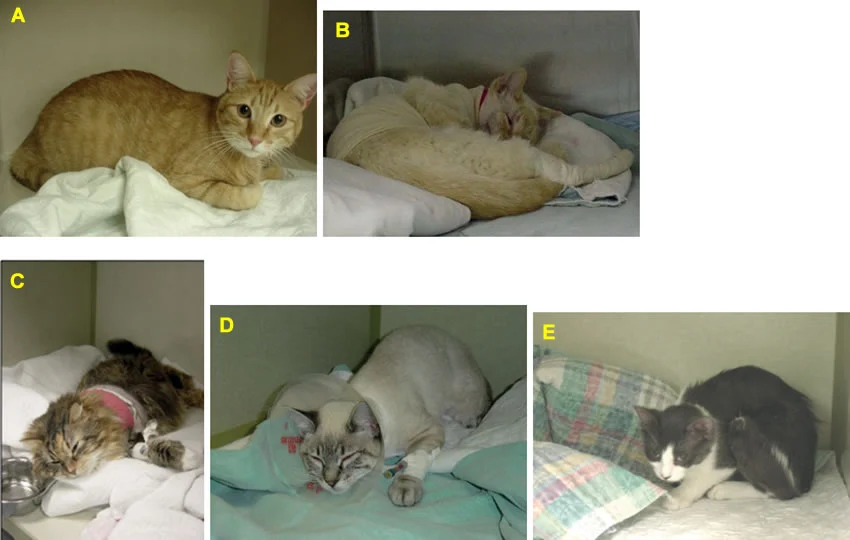 handler.ashx?imgid=3244947&amp;w=850