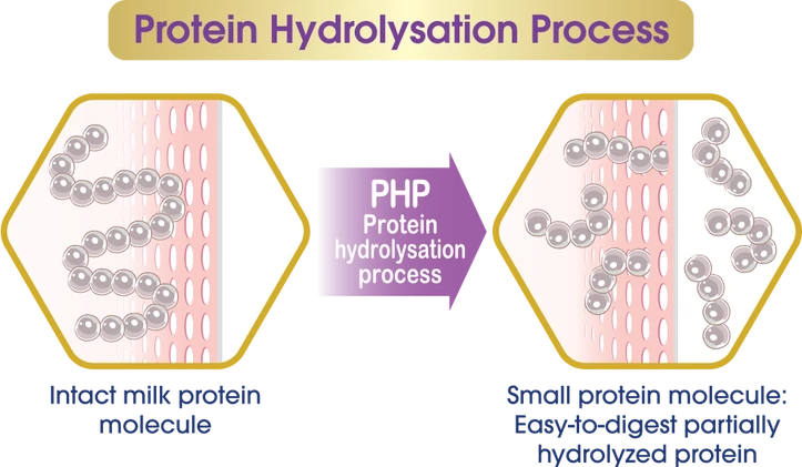protein-hydrolysation.png?w=723&h=421
