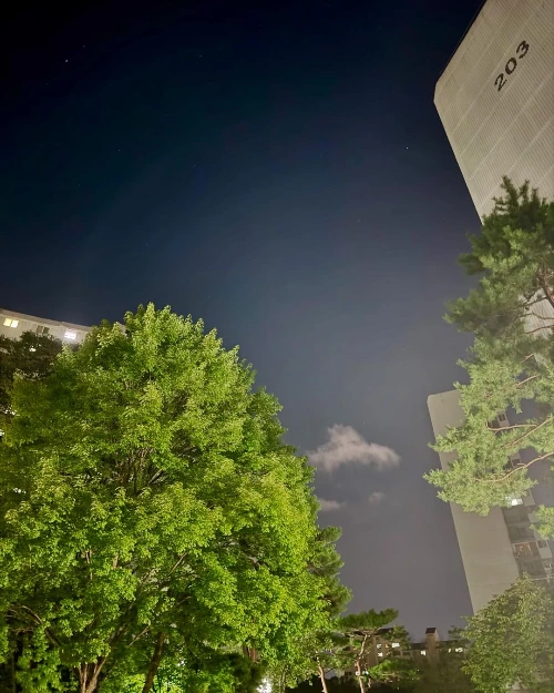 453181081_18450032806048109_7536414569897190974_n.jpg?stp=dst-jpegr_s1080x2048&_nc_cat=106&ccb=1-7&_nc_sid=127cfc&_nc_ohc=eSM3EYrZfKUQ7kNvgGZLr_B&_nc_zt=23&se=-1&_nc_ht=scontent-ssn1-1.xx&_nc_gid=AnizoiuHwEBztfLn5gfS-7x&oh=00_AYD9BFr_UrRMHobTsDCGZgpQLpR_YZRmcmVZkdVLHpiolQ&oe=67452412