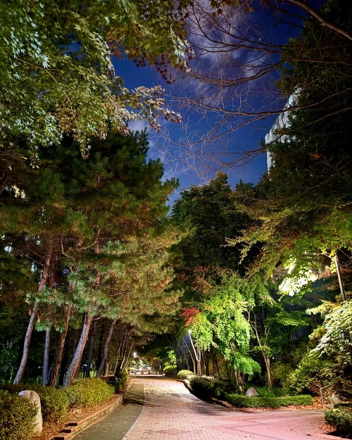 465477206_18468869548048109_425151449458922722_n.jpg?stp=dst-jpegr_s1080x2048&_nc_cat=109&ccb=1-7&_nc_sid=127cfc&_nc_ohc=vqMARVHM4QIQ7kNvgHFQfnQ&_nc_zt=23&se=-1&_nc_ht=scontent-ssn1-1.xx&_nc_gid=A_dQjMu2hpxR8wR0KLoUmjb&oh=00_AYBfh8HqUUIM0snJVNWVVo8c26oT7Xm0fHMIAIVIRlgtuQ&oe=674520A1