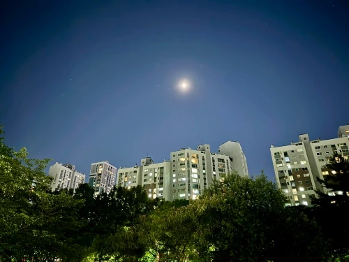 14.칭찬받고 싶고 존경받고 싶은 마음.jpeg