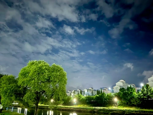 13.작은성취가 만드는 큰 증명.jpeg