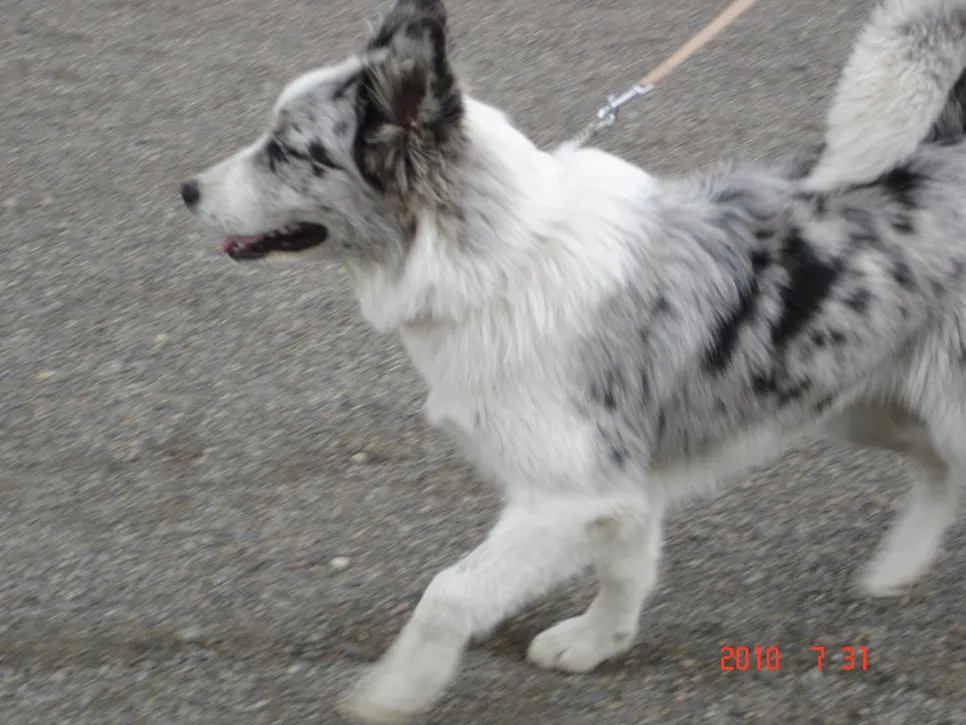 4846858996_6e397e3700_k.jpg?type=w966