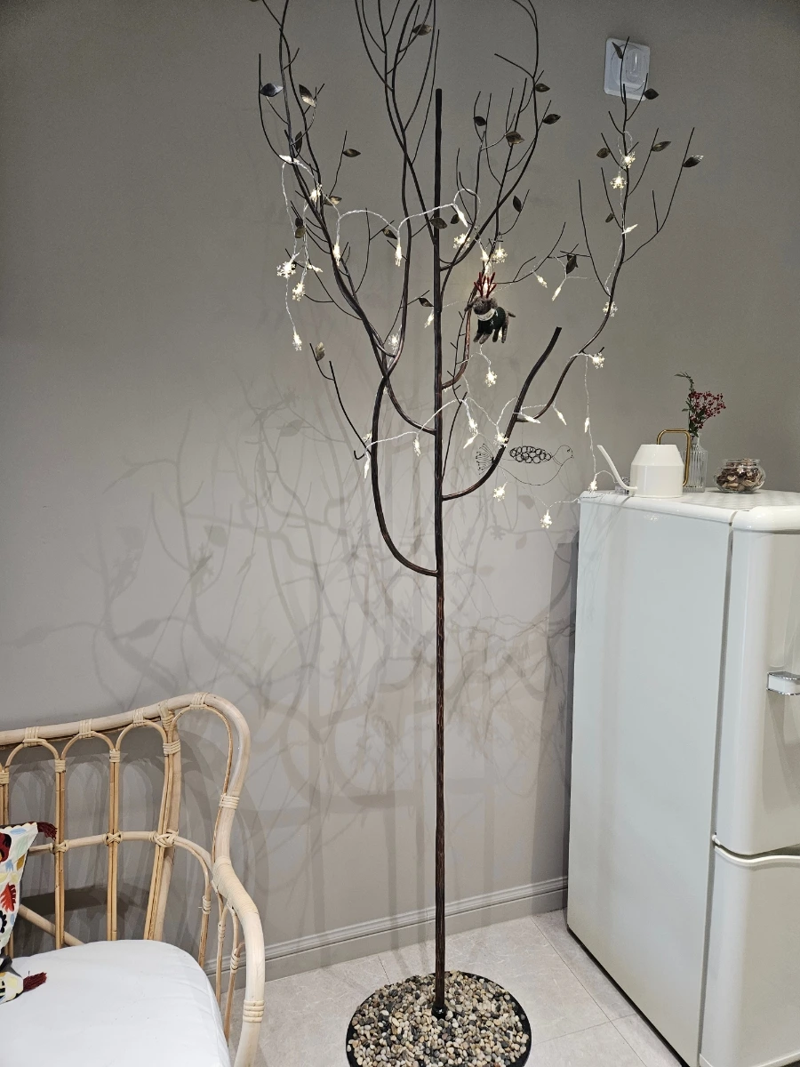 900%EF%BC%BF20241213%EF%BC%BF122616.jpg?type=w1