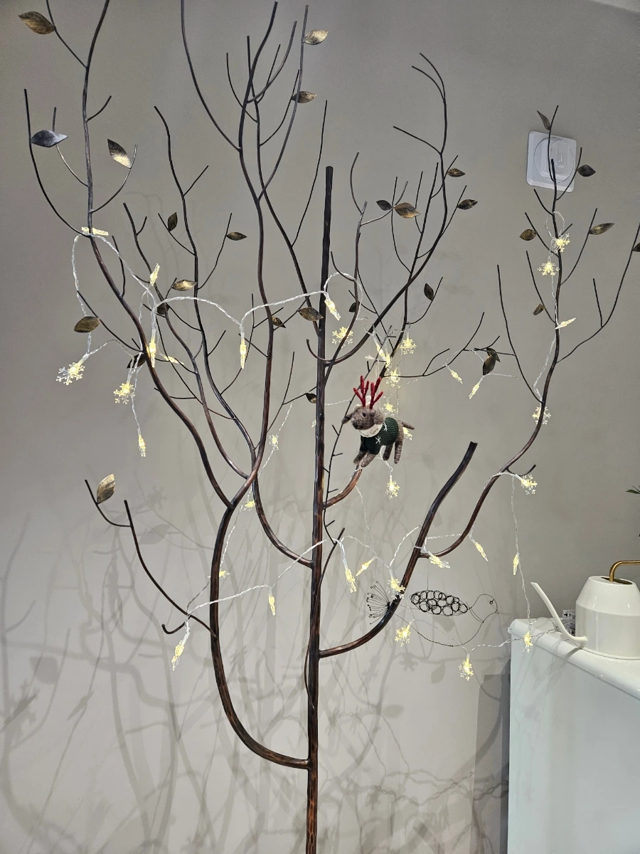 900%EF%BC%BF20241213%EF%BC%BF122610.jpg?type=w1