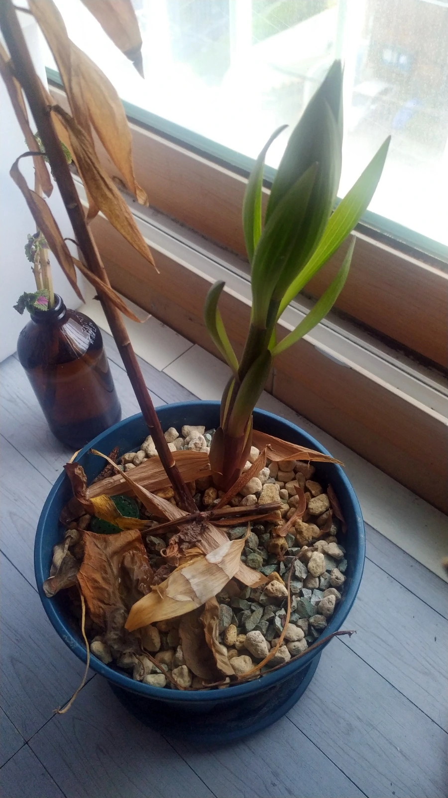 SE-a6c0387b-0df1-11f0-93e4-85be1260d0dc.jpg?type=w1