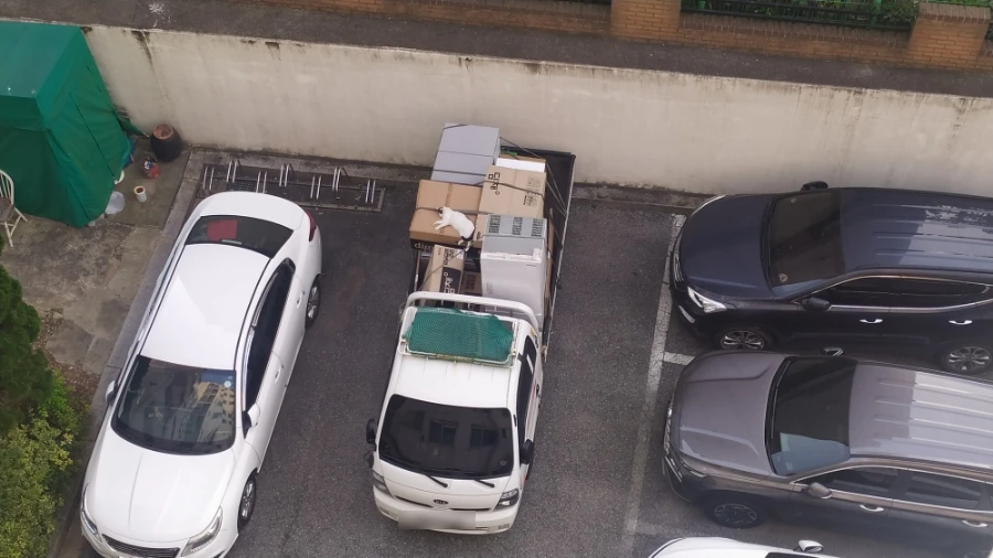 SE-2405a52e-700d-11ef-8aea-e9837993facb.jpg?type=w1