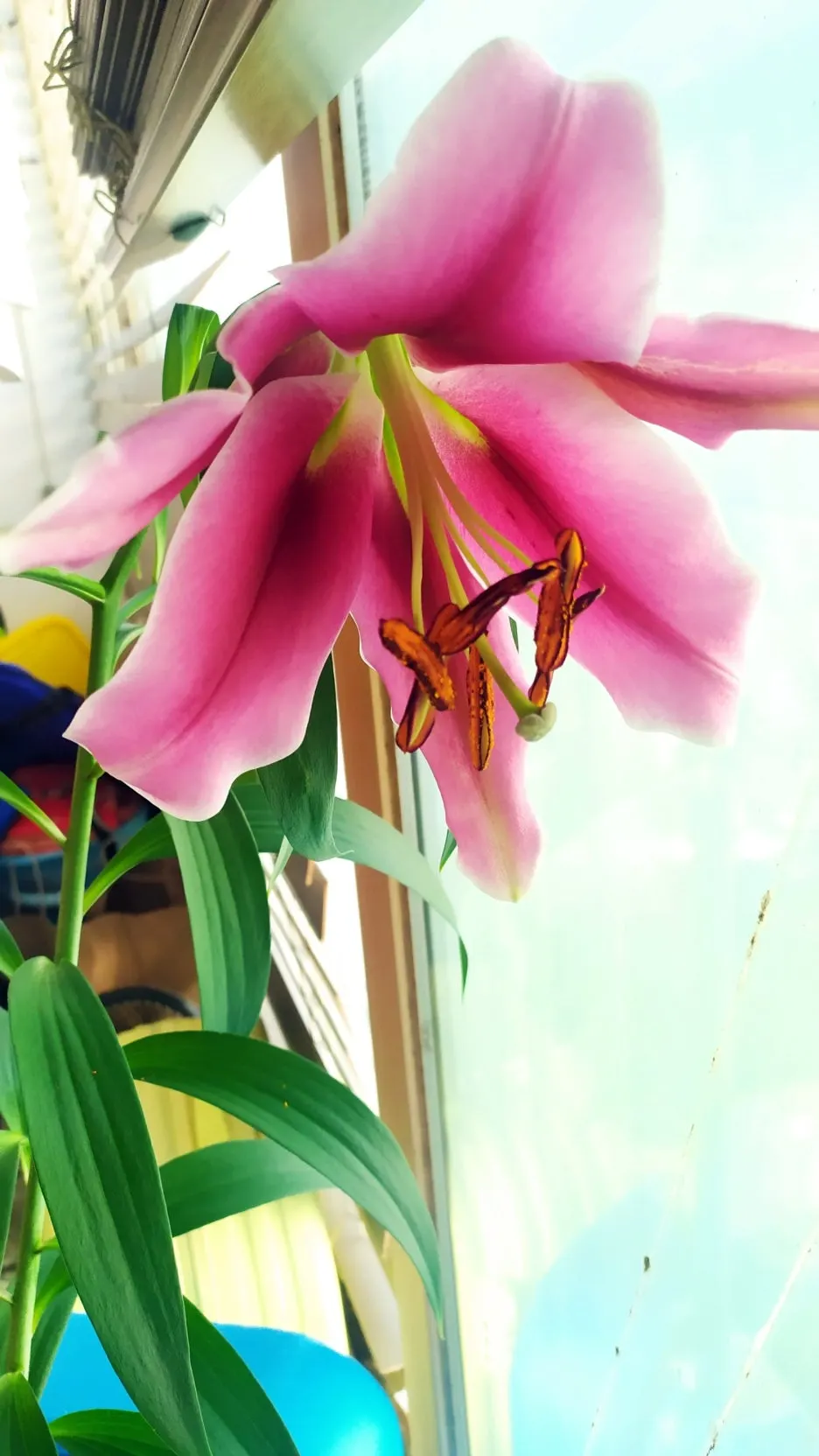 SE-f4903d05-d95a-41df-908b-a1b3575f8483.jpg?type=w1