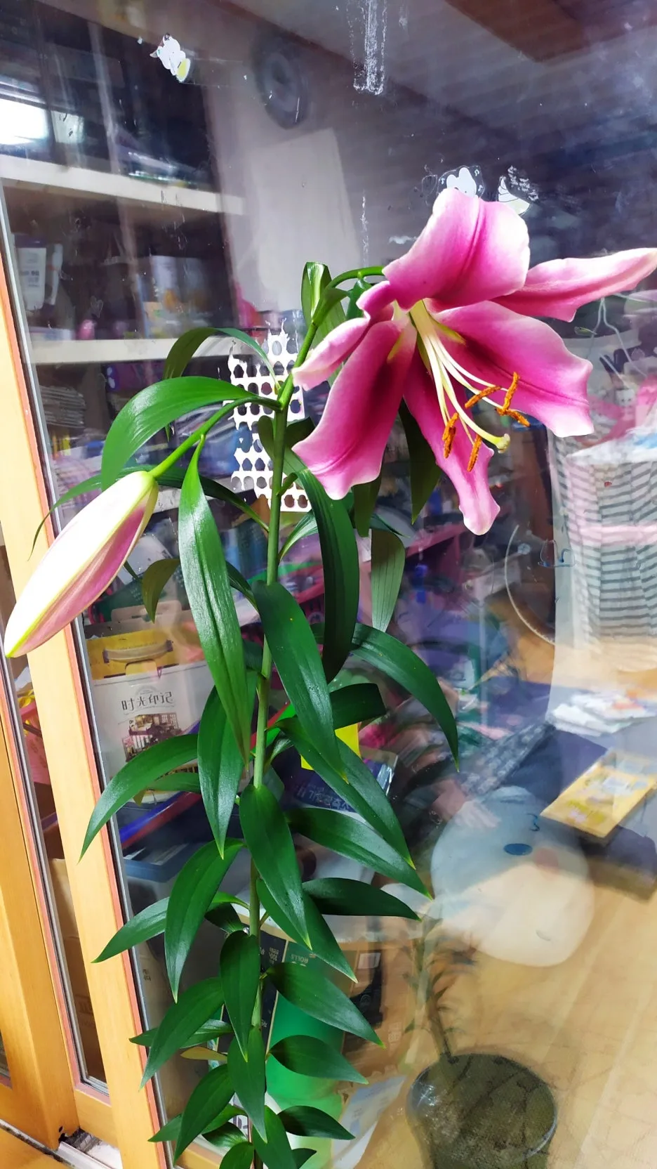 SE-1fddc8d6-e2cb-487b-9dc6-0f56f53189f7.jpg?type=w1