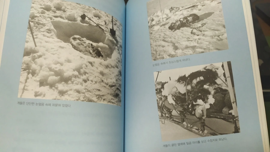 IMG%EF%BC%BF20240403%EF%BC%BF221550.jpg?type=w1