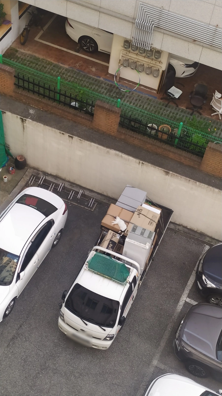 SE-240be6c0-700d-11ef-8aea-ddc0db1acdc0.jpg?type=w1