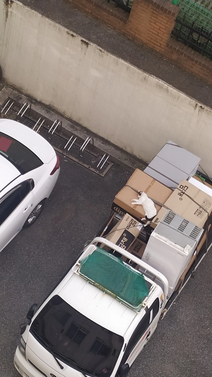 IMG%EF%BC%BF20240908%EF%BC%BF173730.jpg?type=w1