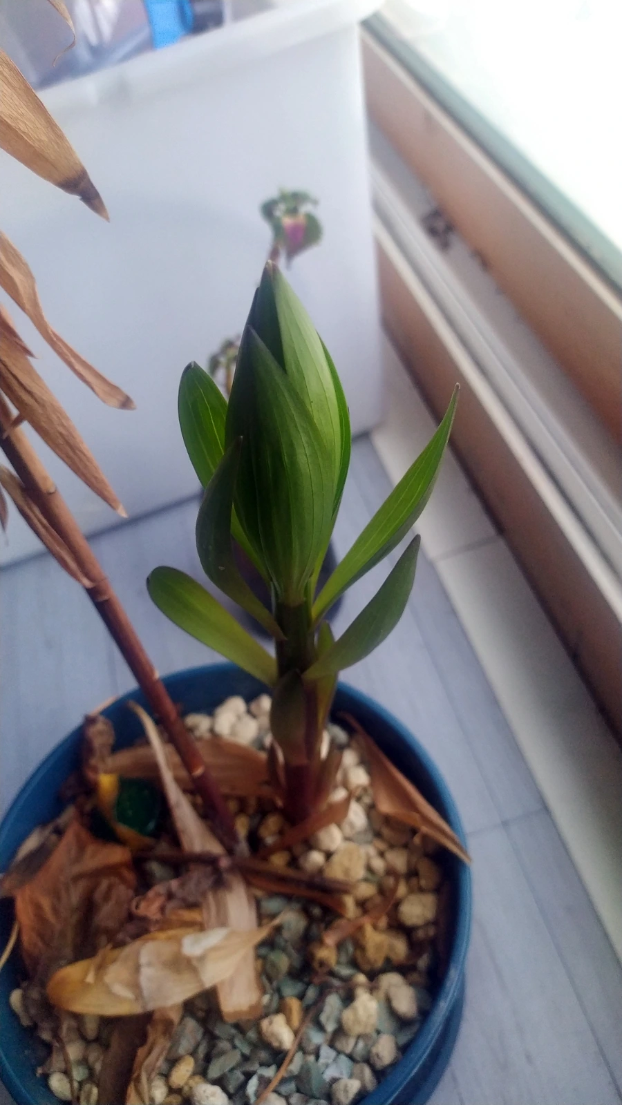 SE-a6c800ac-0df1-11f0-93e4-4f57c74fdfe9.jpg?type=w1