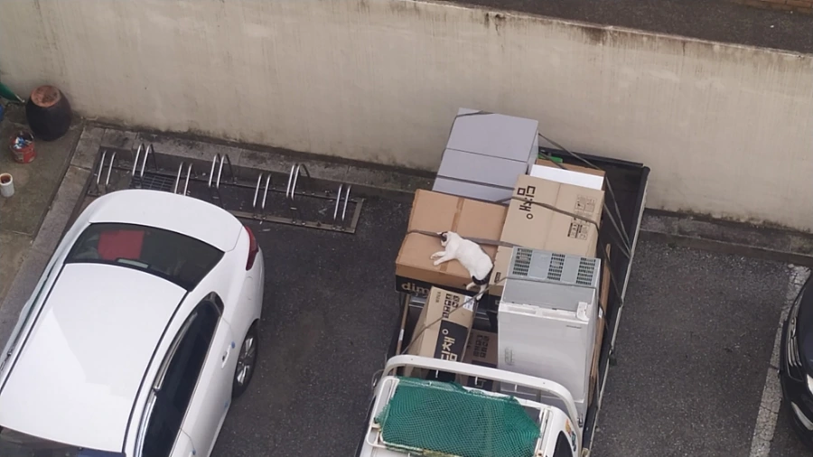 IMG%EF%BC%BF20240908%EF%BC%BF173724.jpg?type=w1