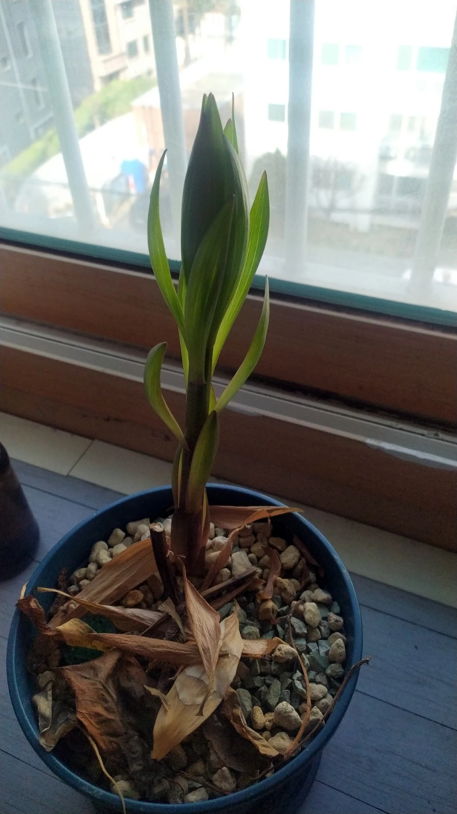 SE-3b4bc1f5-0dfe-11f0-84f1-d13613e4b8d3.jpg?type=w1