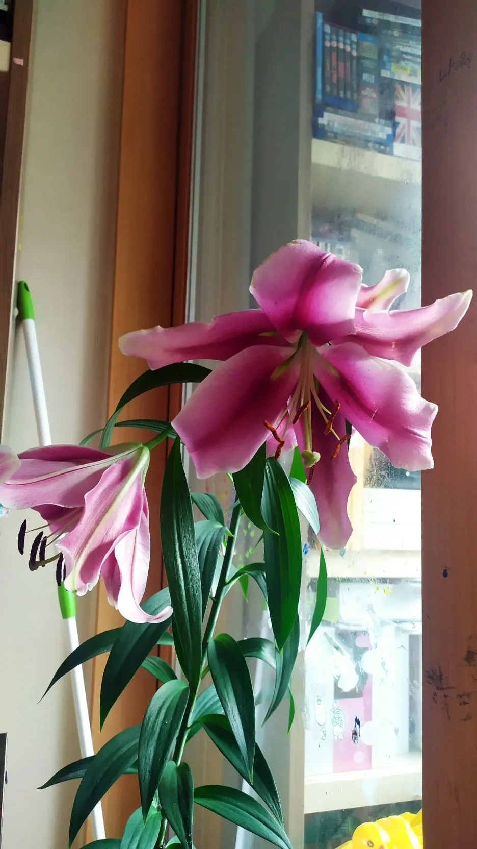 SE-cddb8afb-9168-48d8-9c1a-381e8a5b0168.jpg?type=w1