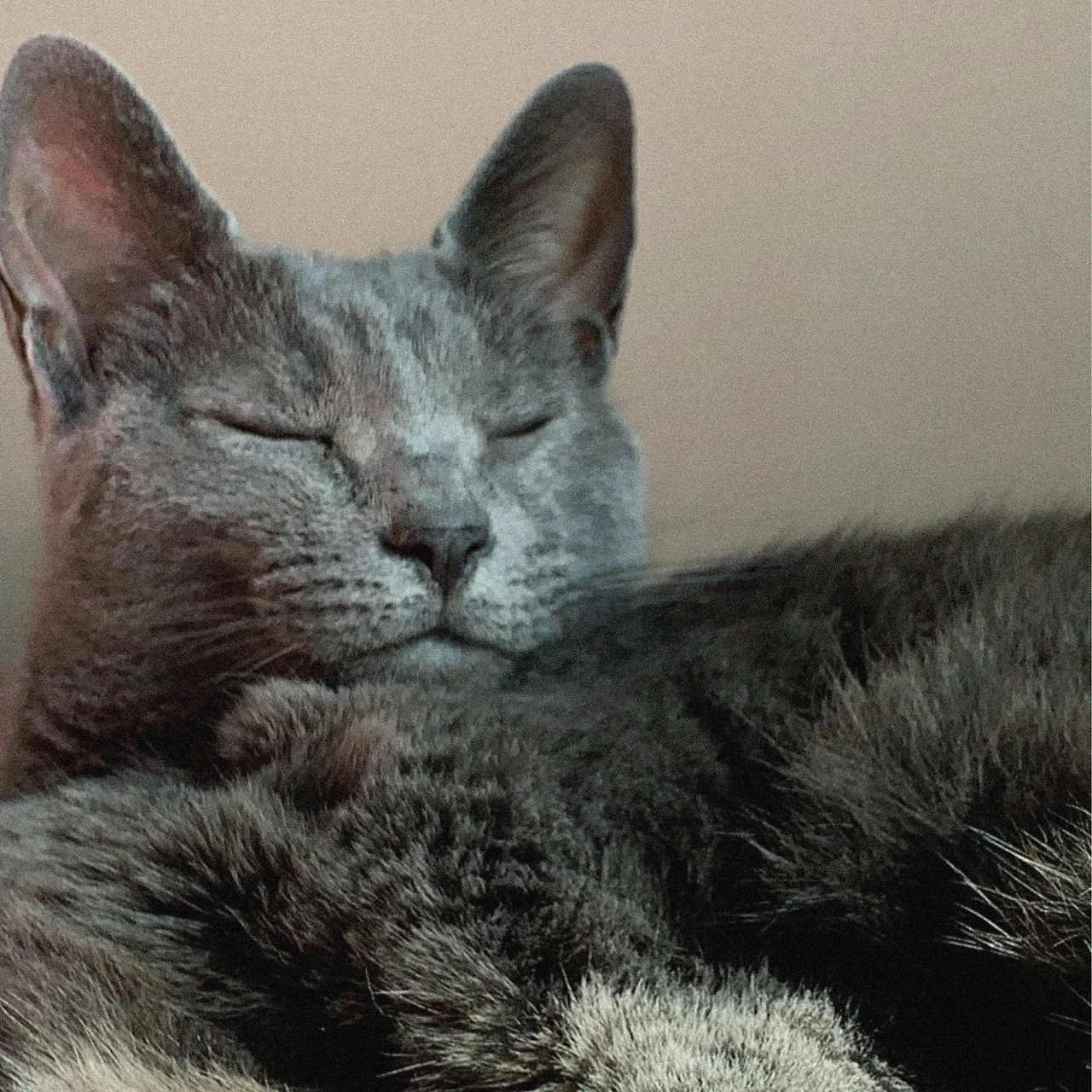 0723 kukuma insta 3.JPG