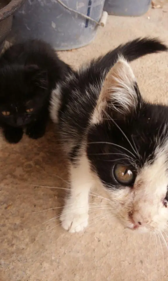 1417071046037.jpeg?type=w2