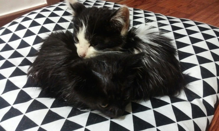 1430277592885.jpeg?type=w2