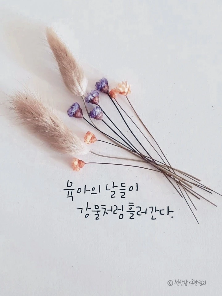 1621923350636%EF%BC%8D3.jpg?type=w773