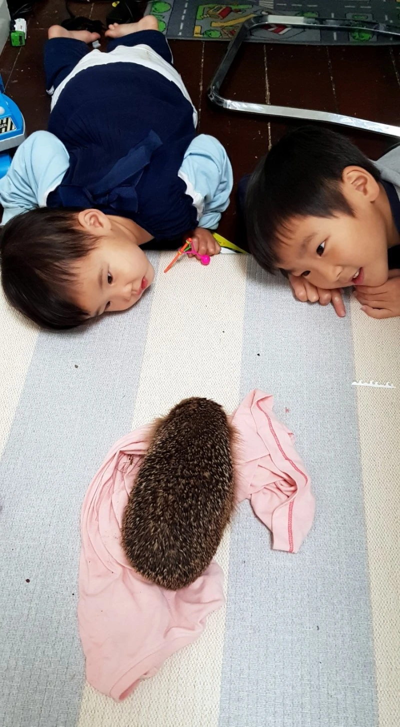 1571877099451.jpg?type=w800