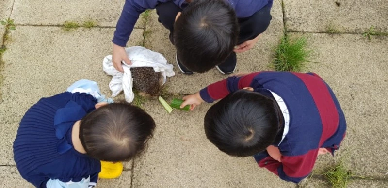 1571875798109.jpg?type=w800