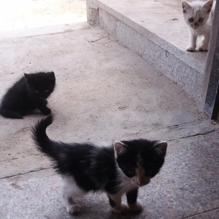 1421148617714.jpeg?type=w2