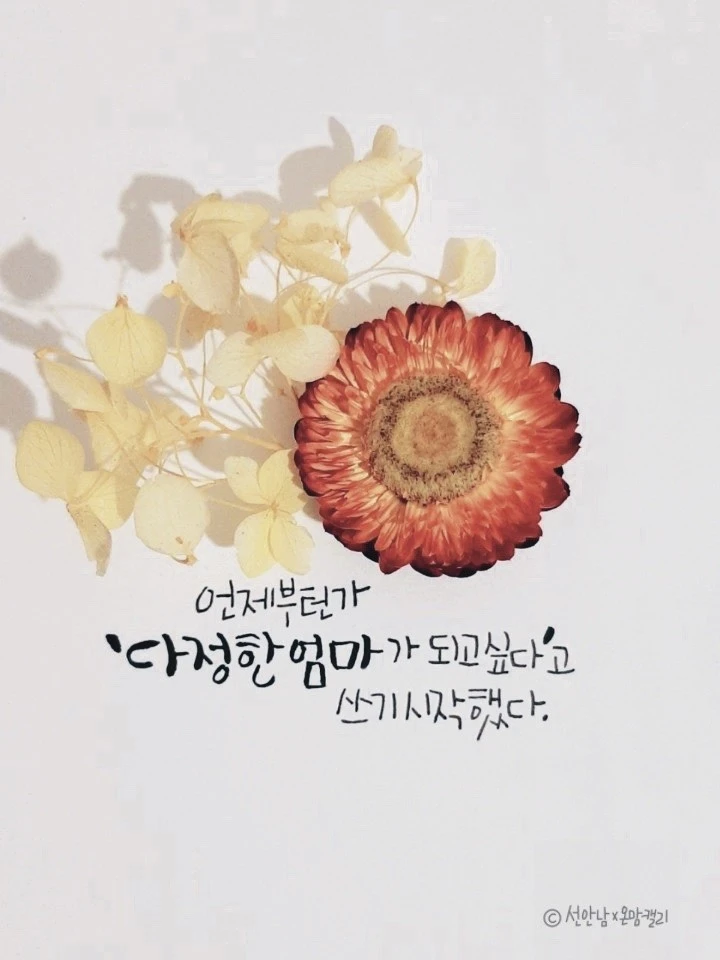 1621923350636%EF%BC%8D1.jpg?type=w773