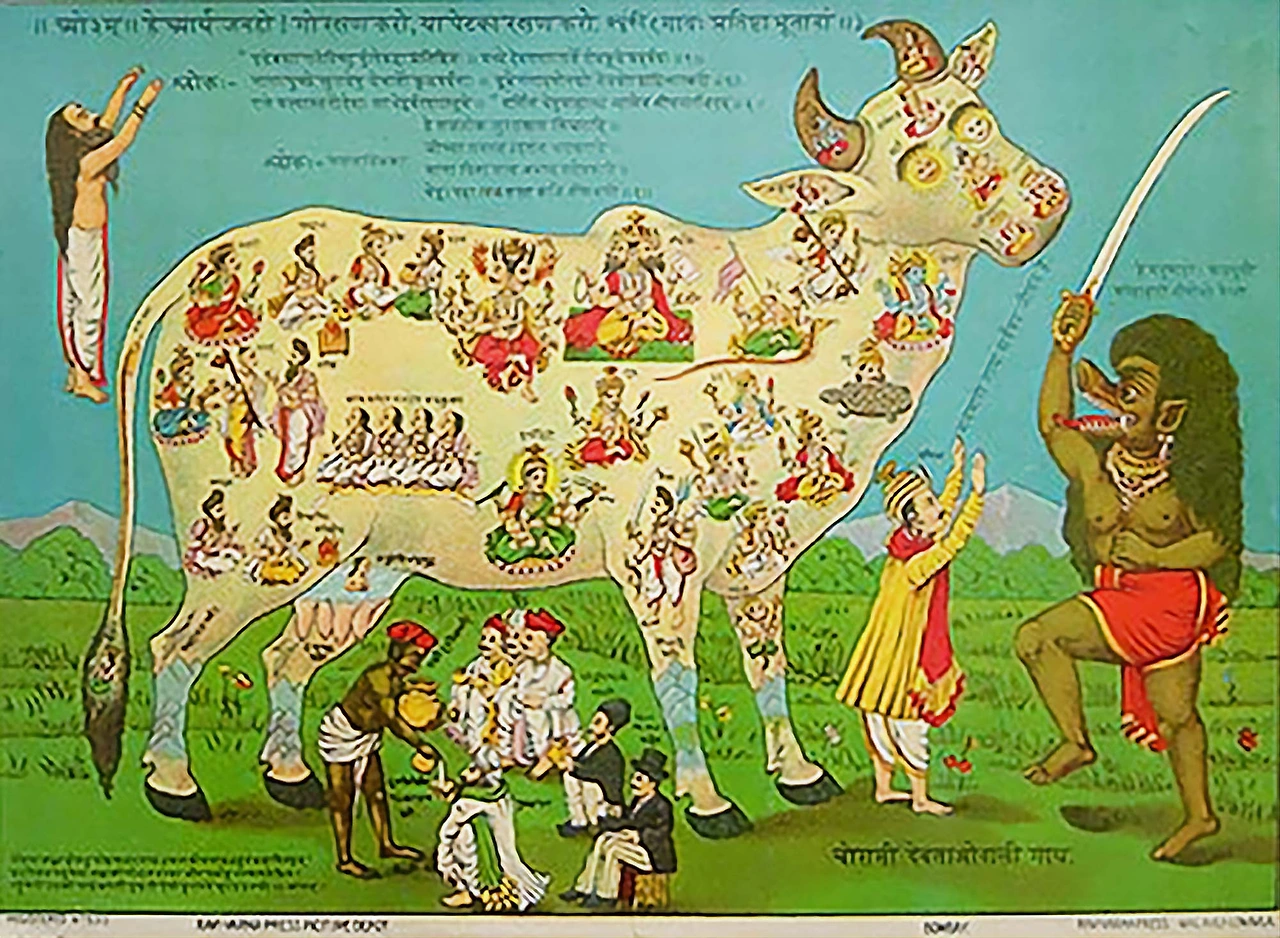Sacred_cow2.jpeg