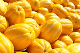 images?q=tbn:ANd9GcRc-vZ_Ht2hjJOrrUpQW9JKdUNfy6iYupWWXA&amp;usqp=CAU