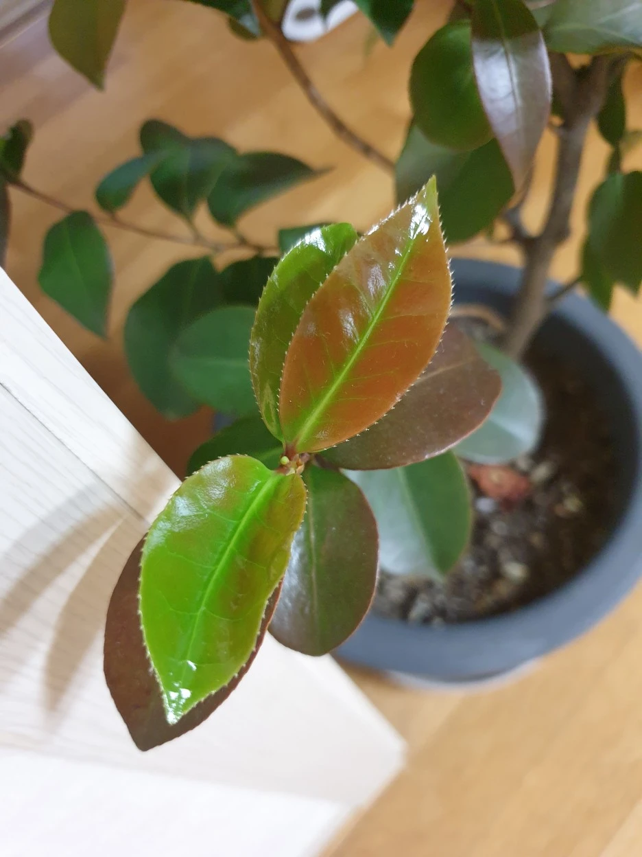 20220214_174128.jpg?type=w1