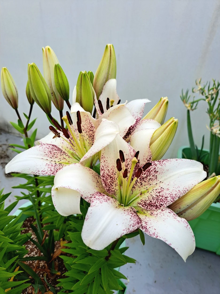 20220609_115232.jpg?type=w1