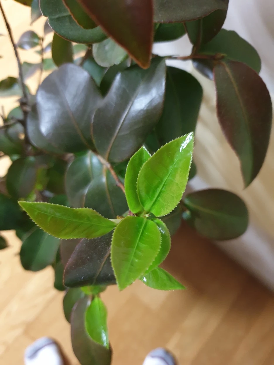 20220214_174113.jpg?type=w1