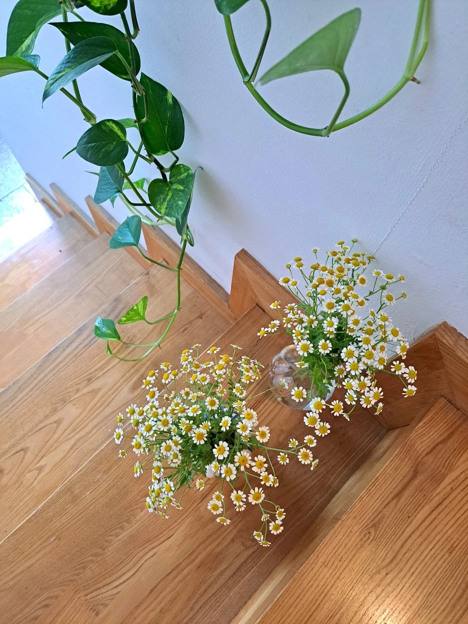 20220703_115249.jpg?type=w1