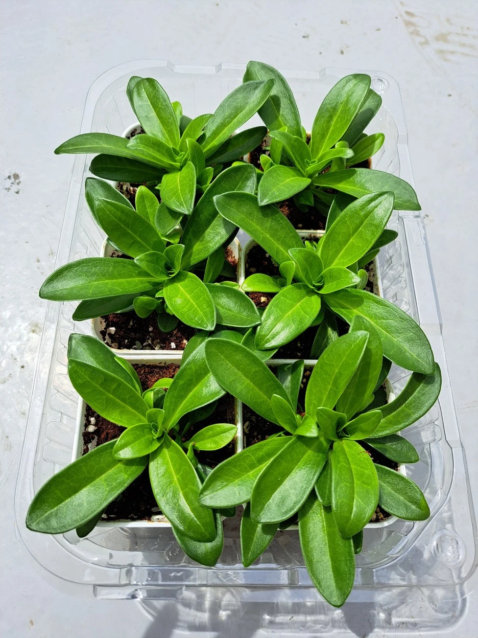 20220423_124226.jpg?type=w1