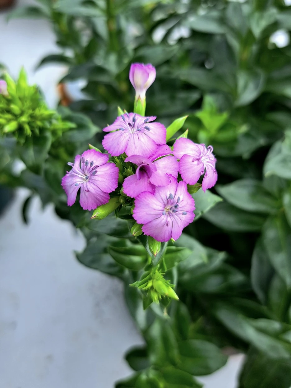 20220717_091526.jpg?type=w1