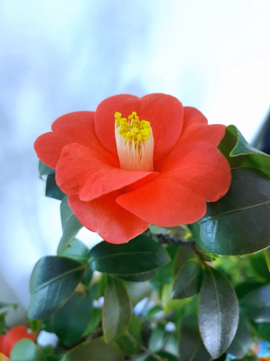 20220227_150627.jpg?type=w1