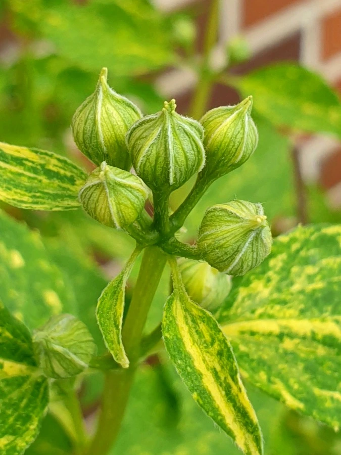 20210427_115731.jpg?type=w1