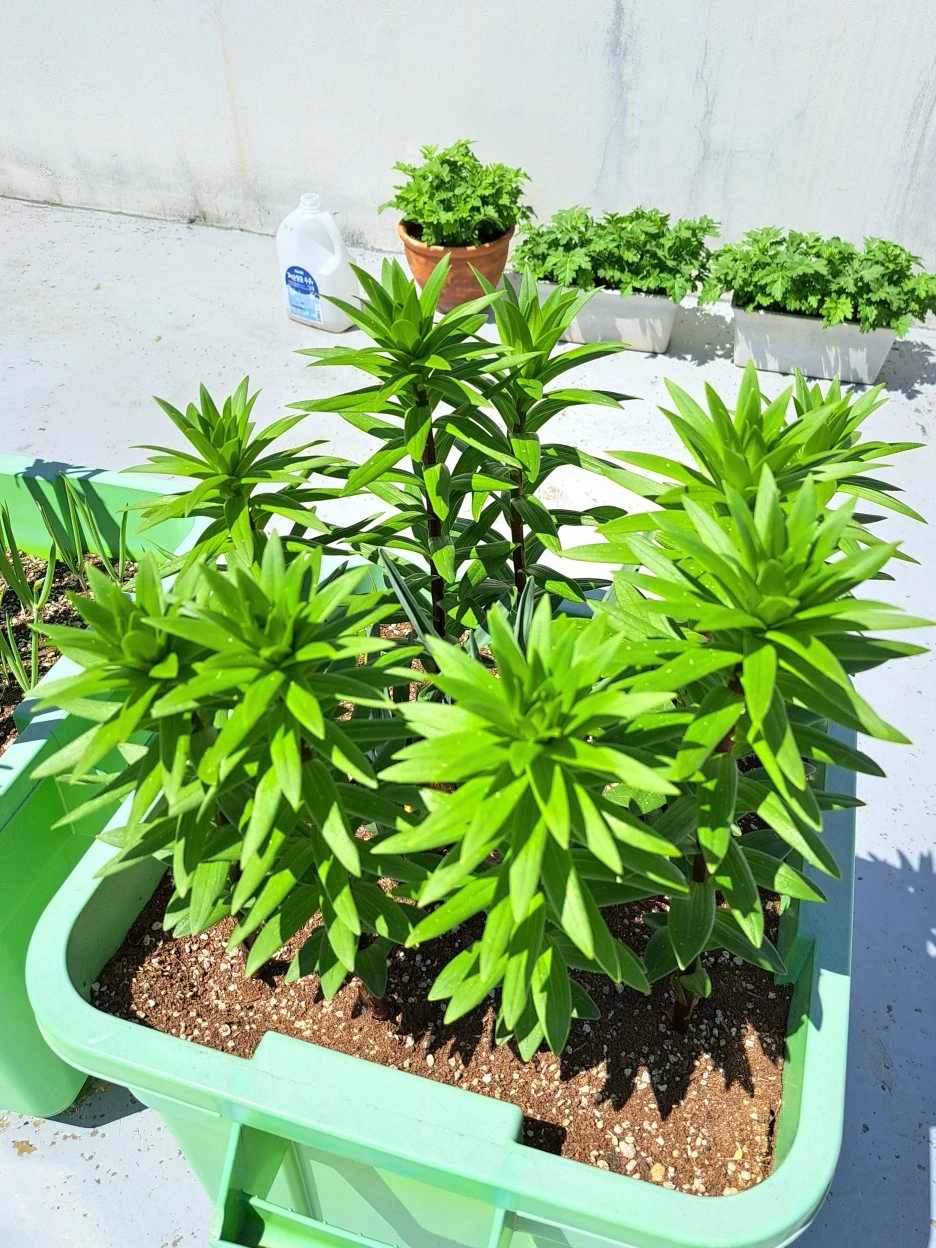 20220509_110545.jpg?type=w1