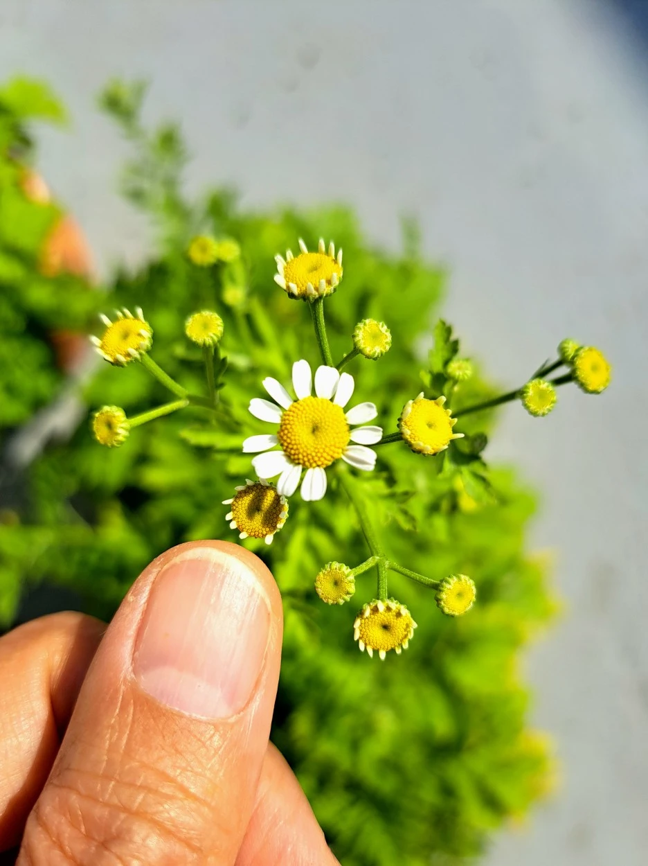 20220614_082930.jpg?type=w1