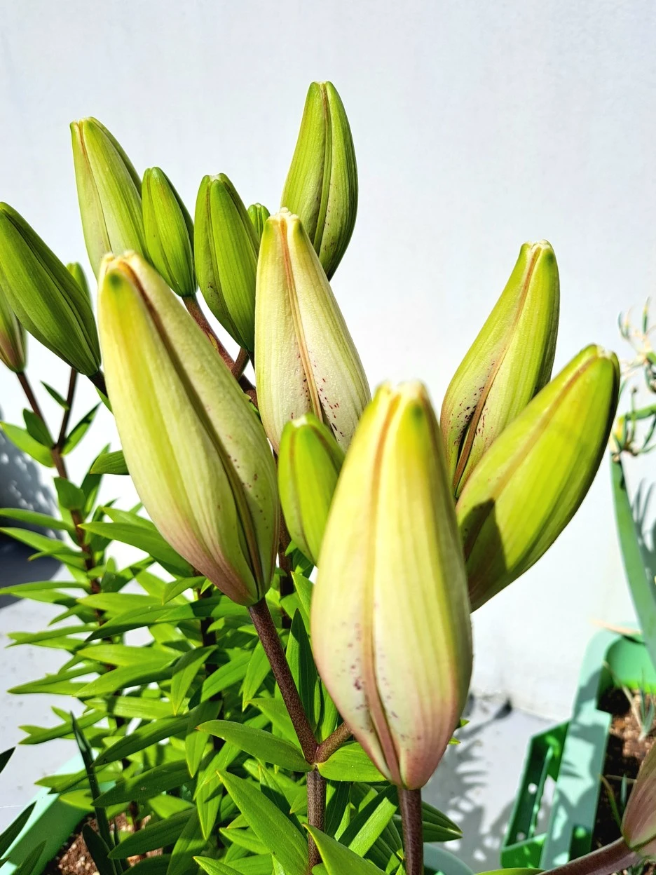 20220607_101024.jpg?type=w1