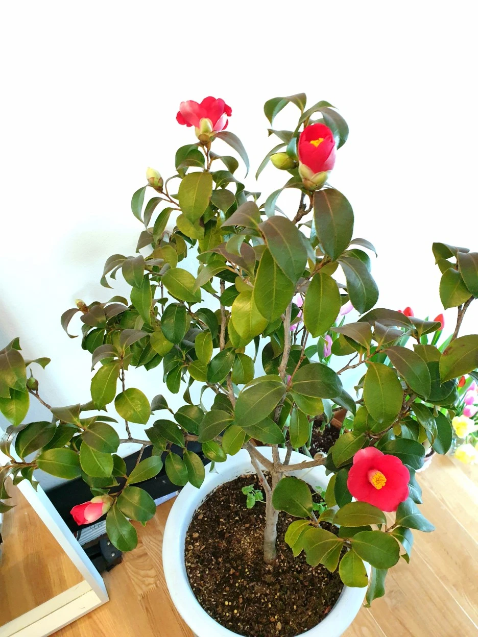 20220223_102916.jpg?type=w1