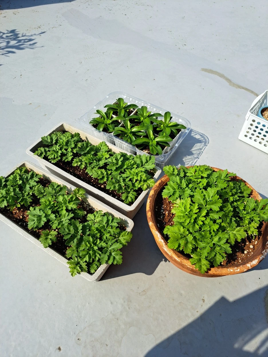 20220419_095223.jpg?type=w1