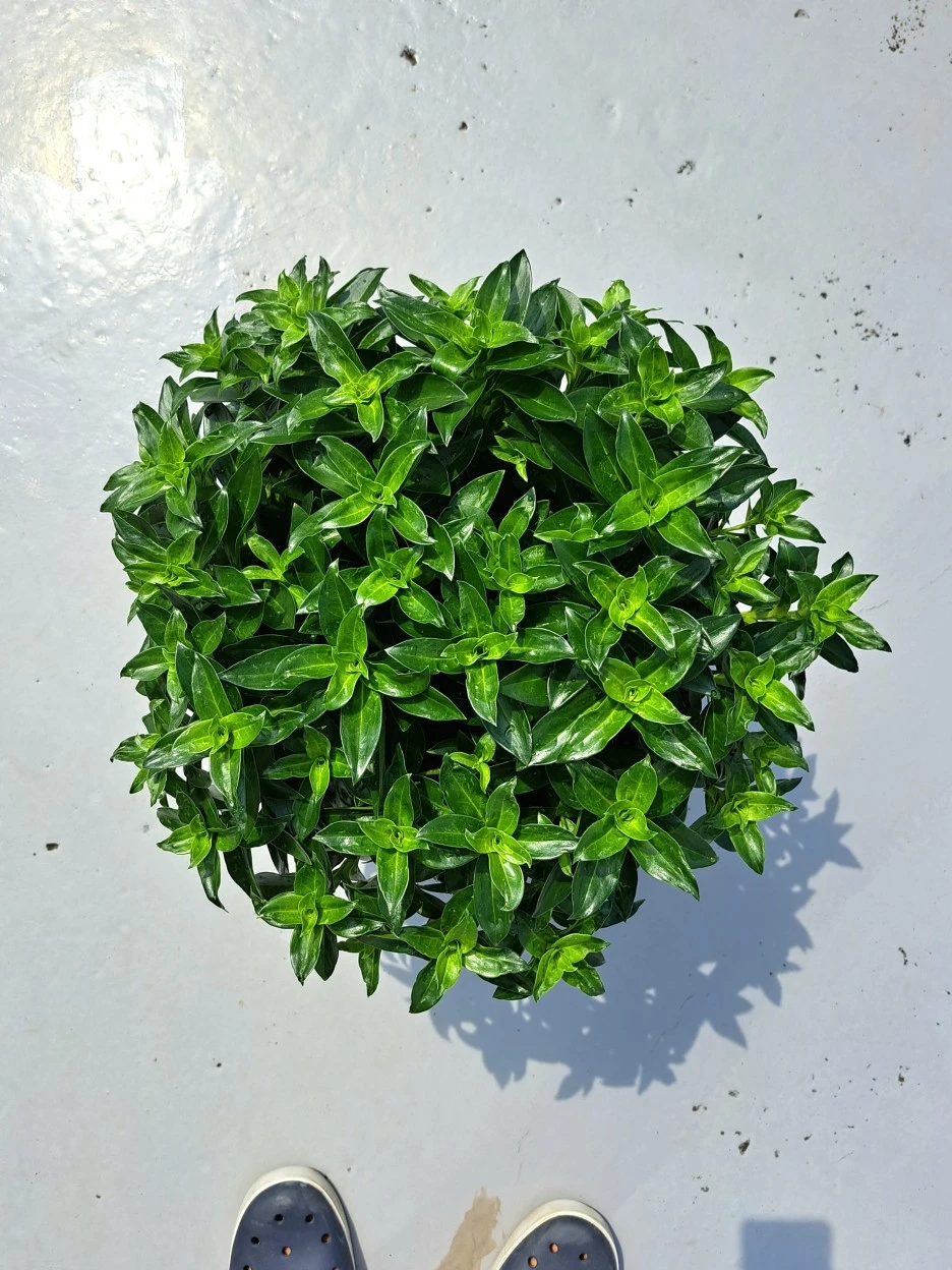 20220613_101946.jpg?type=w1