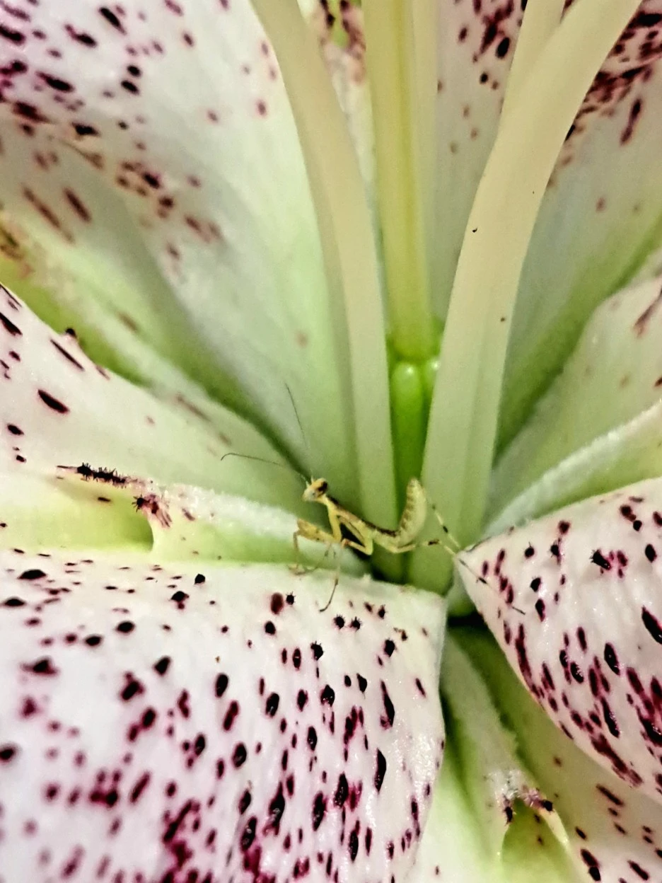 20220612_180332.jpg?type=w1