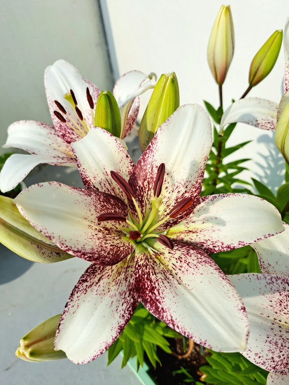 20220610_082946.jpg?type=w1