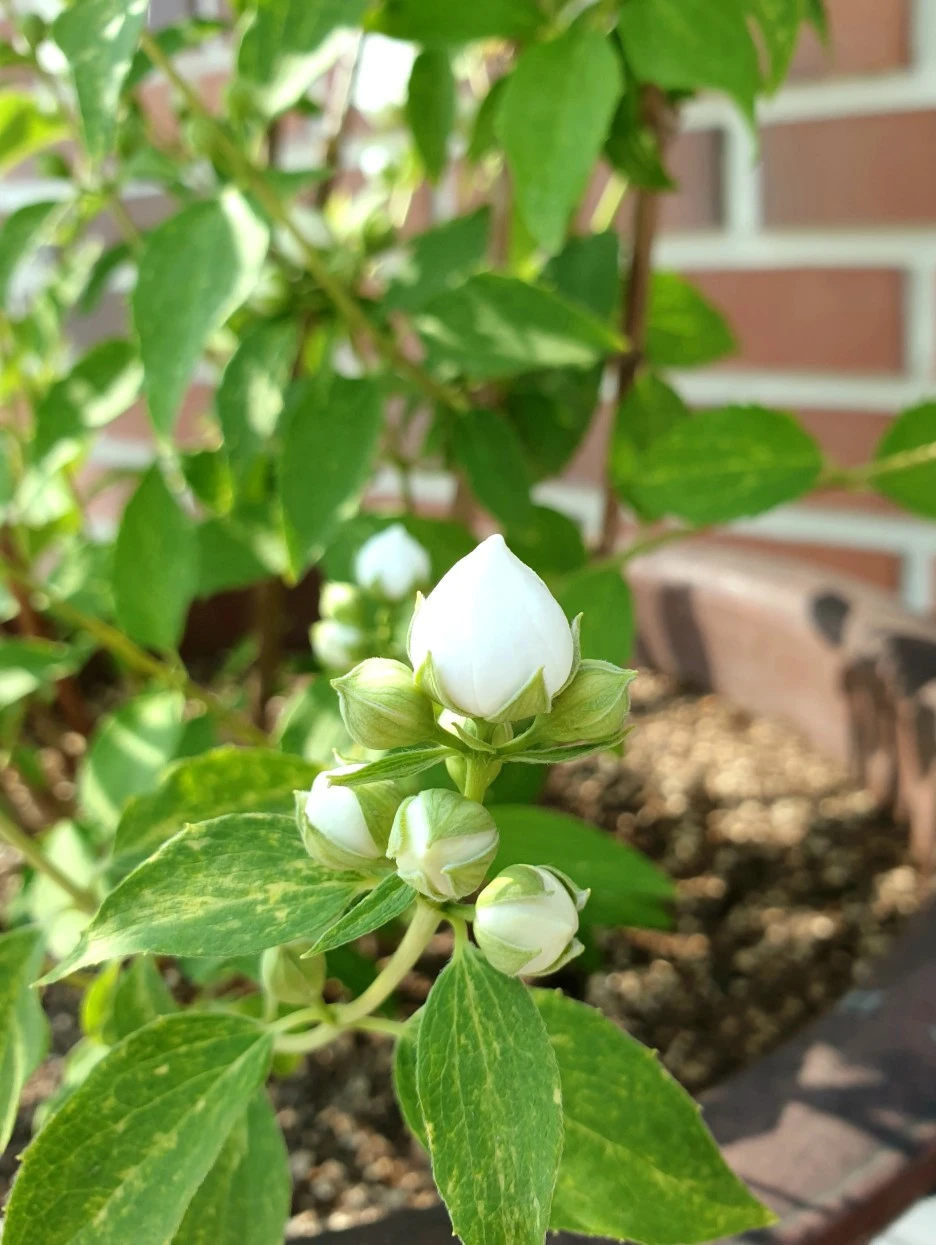 20210513_154014.jpg?type=w1