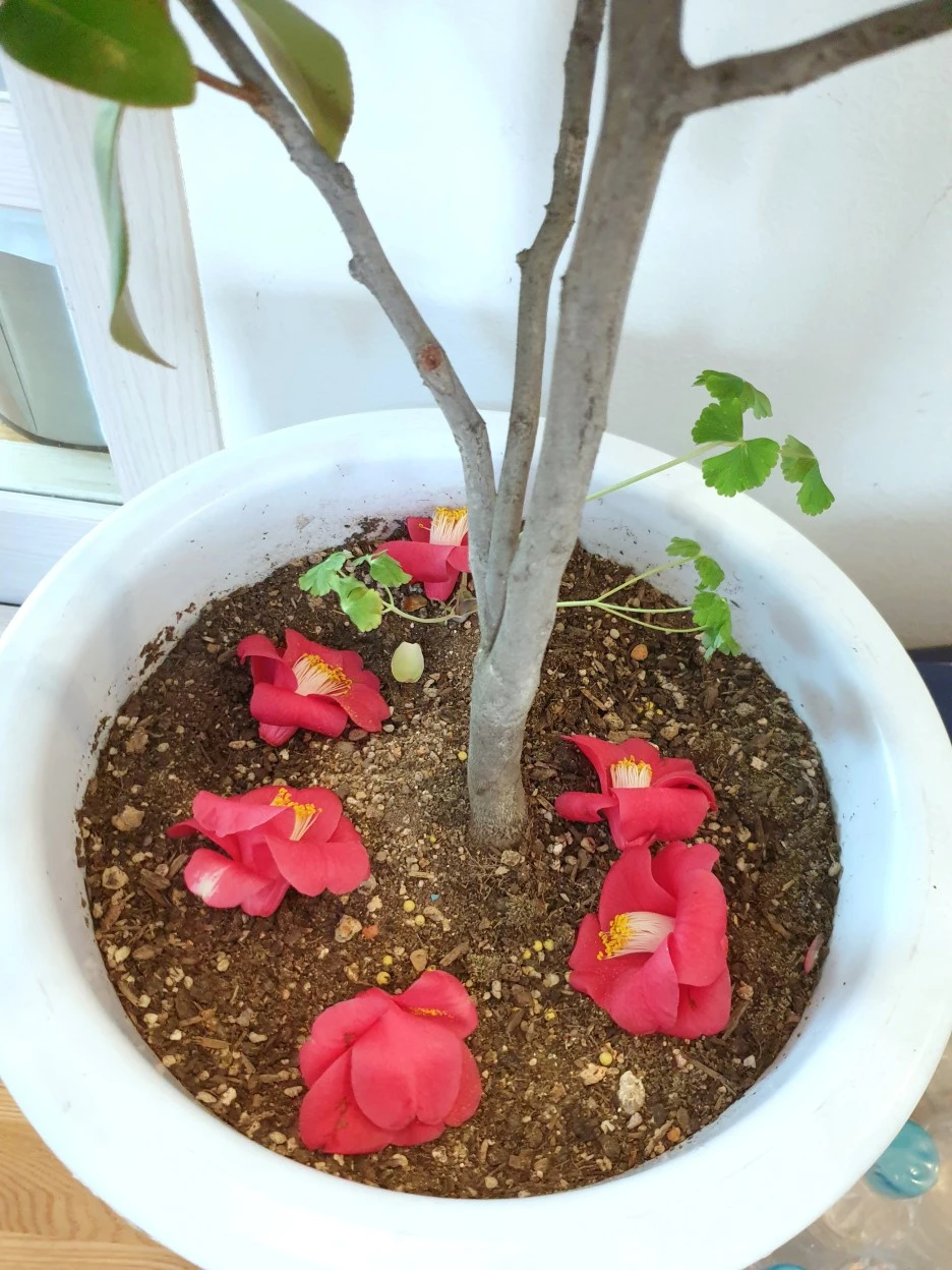 20220311_161832.jpg?type=w1