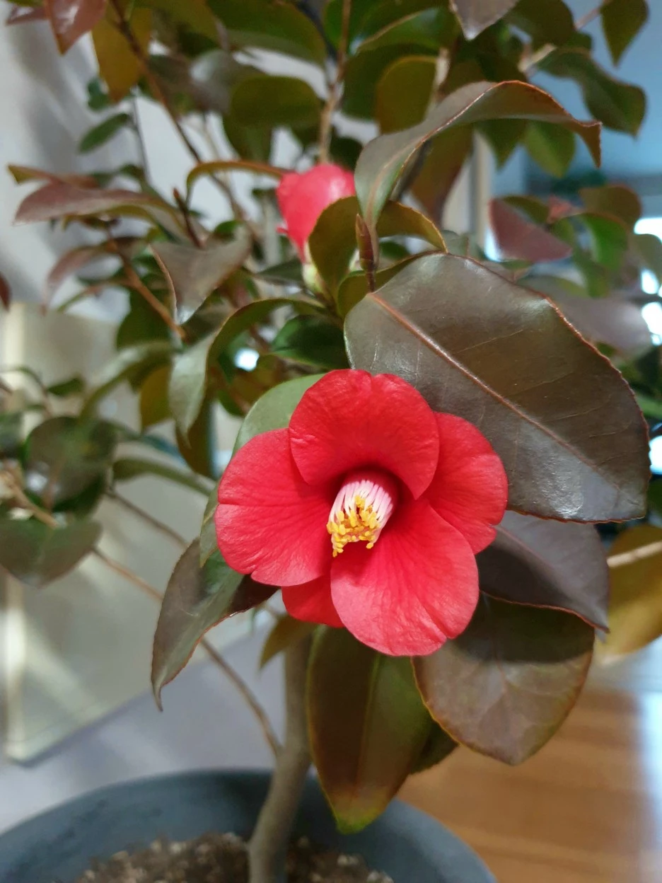 20220107_171128.jpg?type=w1