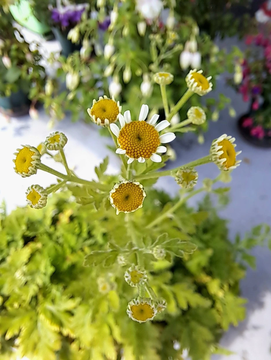 20220613_100815.jpg?type=w1